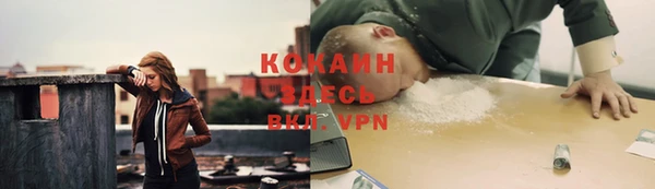крисы Алексин