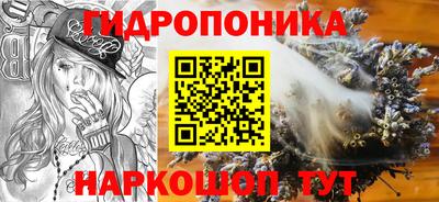 тгк Новозыбков