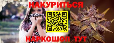 тгк Новозыбков