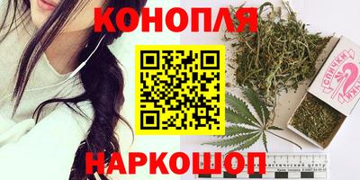 тгк Новозыбков