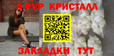 тгк Новозыбков